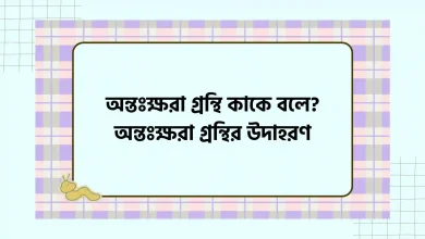 অন্তঃক্ষরা গ্রন্থি কাকে বলে, অন্তঃক্ষরা গ্রন্থির উদাহরণ