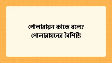 পোলারায়ন কাকে বলে? পোলারায়নের বৈশিষ্ট্য