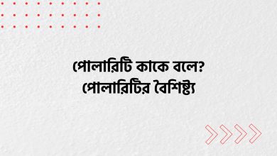 পোলারিটি কাকে বলে, পোলারিটির বৈশিষ্ট্য