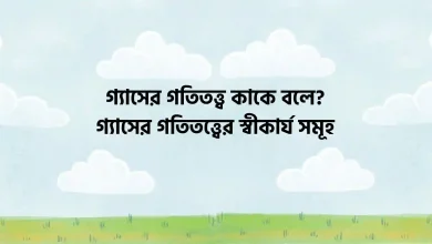 গ্যাসের গতিতত্ত্ব কাকে বলে, গ্যাসের গতিতত্ত্বের স্বীকার্য সমূহ