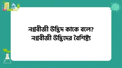 নগ্নবীজী উদ্ভিদ কাকে বলে, নগ্নবীজী উদ্ভিদের বৈশিষ্ট্য