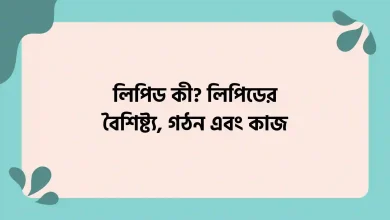 লিপিড কী, লিপিডের বৈশিষ্ট্য, গঠন এবং কাজ