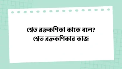 শ্বেত রক্তকণিকা কাকে বলে, শ্বেত রক্তকণিকার কাজ