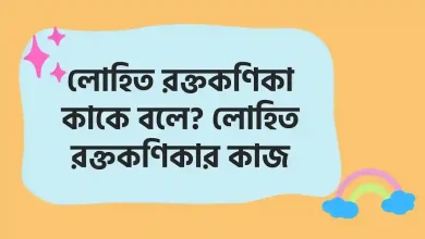 লোহিত রক্তকণিকা কাকে বলে, লোহিত রক্তকণিকার কাজ