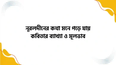 নূরলদীনের কথা মনে পড়ে যায় কবিতার ব্যাখ্যা ও মূলভাব