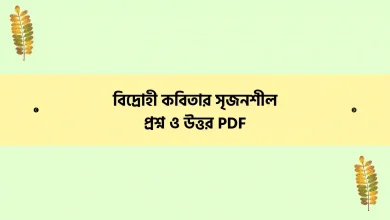 বিদ্রোহী কবিতার সৃজনশীল প্রশ্ন ও উত্তর PDF