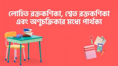 লোহিত রক্তকণিকা, শ্বেত রক্তকণিকা এবং অণুচক্রিকার মধ্যে পার্থক্য