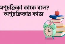 অণুচক্রিকা কাকে বলে, অণুচক্রিকার কাজ