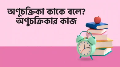 অণুচক্রিকা কাকে বলে, অণুচক্রিকার কাজ