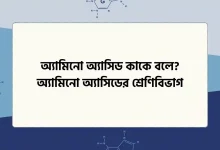 অ্যামিনো অ্যাসিড কাকে বলে, অ্যামিনো অ্যাসিডের শ্রেণিবিভাগ