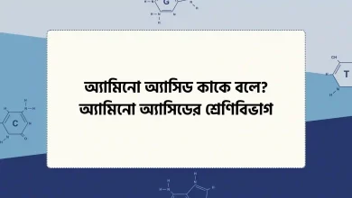 অ্যামিনো অ্যাসিড কাকে বলে, অ্যামিনো অ্যাসিডের শ্রেণিবিভাগ