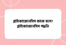 গ্লাইকোজেনেসিস কাকে বলে গ্লাইকোজেনেসিস পদ্ধতি