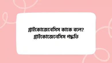 গ্লাইকোজেনেসিস কাকে বলে গ্লাইকোজেনেসিস পদ্ধতি