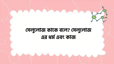 সেলুলোজ কাকে বলে, সেলুলোজ এর ধর্ম এবং কাজ