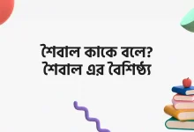 শৈবাল কাকে বলে, শৈবাল এর বৈশিষ্ঠ্য