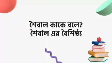 শৈবাল কাকে বলে, শৈবাল এর বৈশিষ্ঠ্য